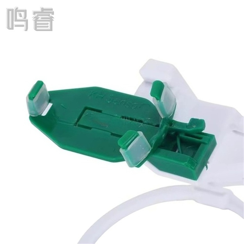 歯科用フィルムポジショナー X線平行投影ポジショナー ポジシ - Photography X Ray のレビューと価格