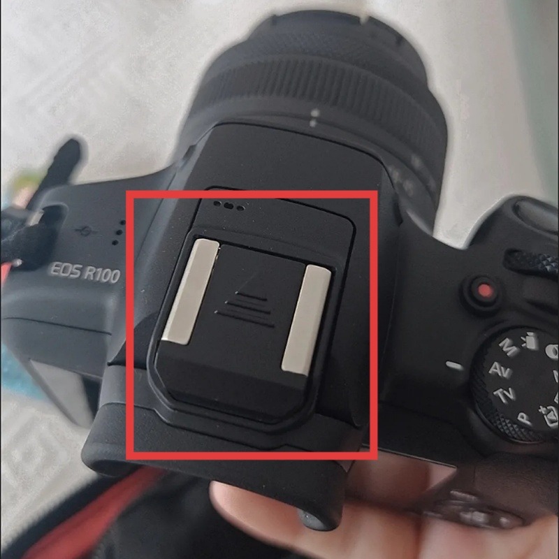 キヤノン EOS R50 R5C R3 R10 R8 R7  - Canon Camera Eos R50 のレビューと価格